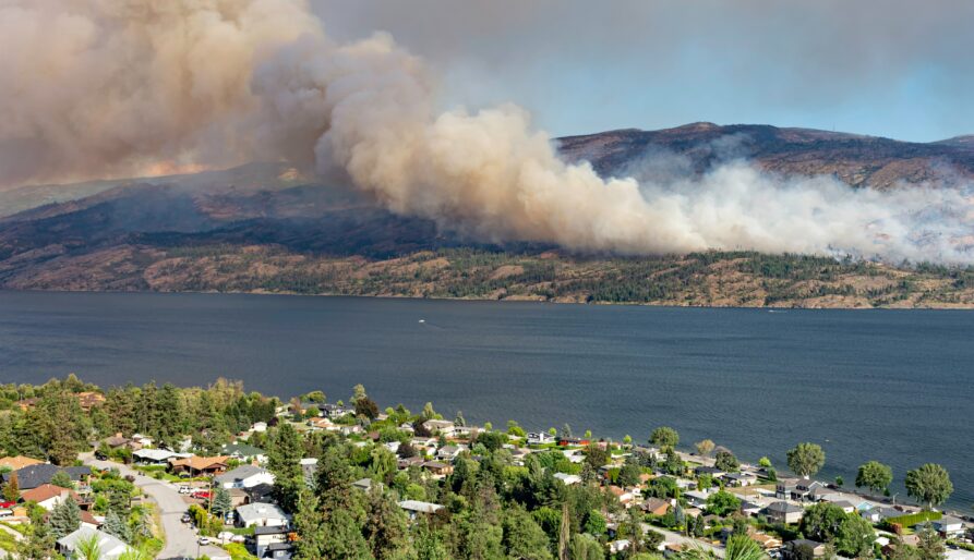 wildfires