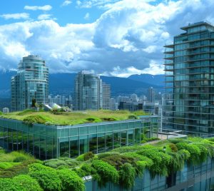 green roof Vancouver