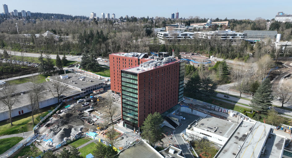 mass timber housing