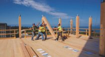 mass timber IPD