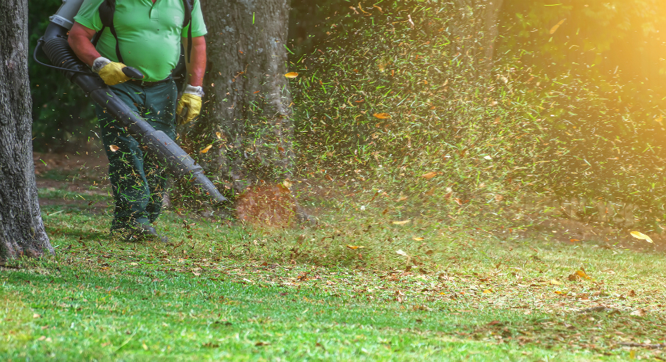 City in Quebec moves to ban leaf blowers during summer