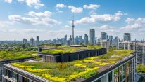 green roof Toronto