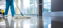 cleaning labour
