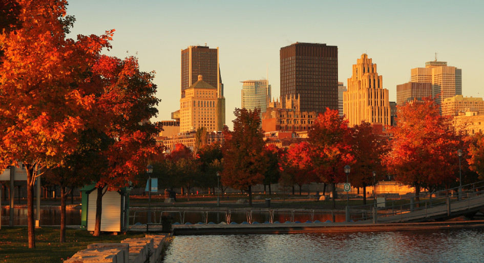 sustainability disclosure standards to be centered in Montreal