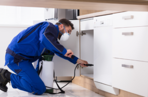 Advantage Pest Control