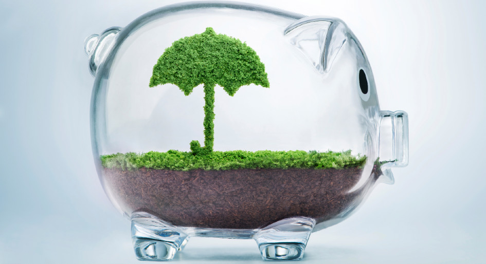 Quebec budget boosts climate action spending