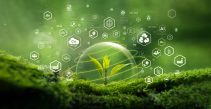 sustainability report