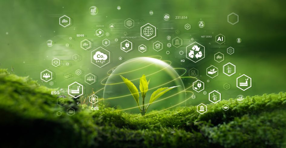 sustainability report