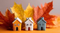 fall market