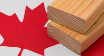 Softwood to play material role in housing plan