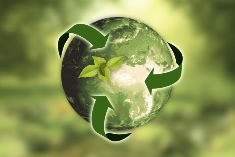 Sustainability Council