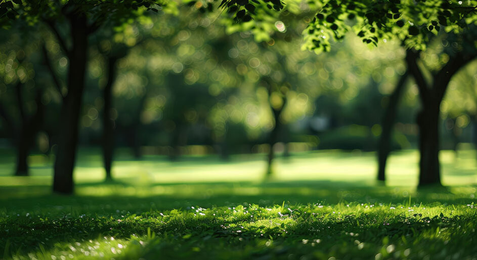 park Surrey
