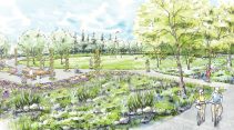 park concept