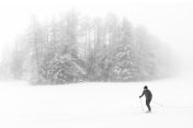 biathlon