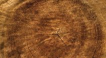 Gogama