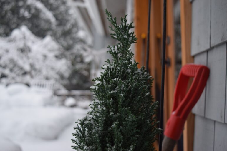 winter