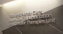 stem cell