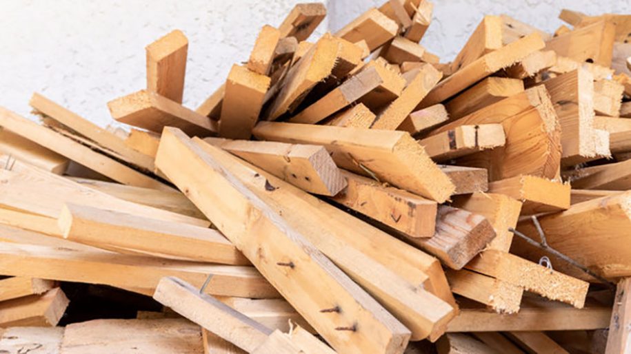 wood waste biomass